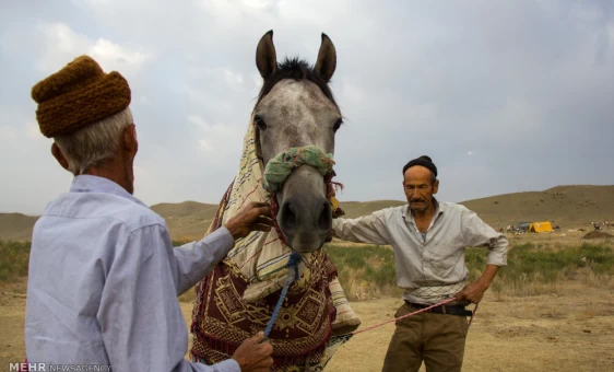 جشنواره اسب اصیل ترکمن